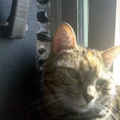 Shoegaze, dreampop & psych playlist #165*