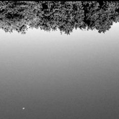 Never New(Prod. Mykal Riley)