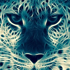 stephan grieder - audio rebel