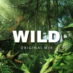 WILD [ Original m ] prod by J3rryz..mp3
