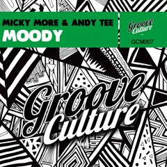 Micky More & Andy Tee - Moody (Original Mix)