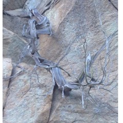 Sky Burial Shovel Salesman