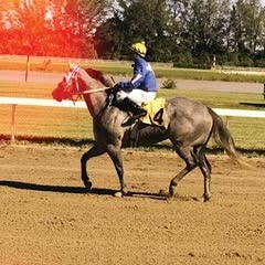 Tobacco Free Florida - Tobacco Downs