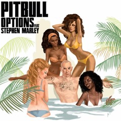 Pitbull Options [REGGAE REMIX] Ft Stephen Marley  Sowk KrDrN 2017
