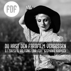 Du hast den Farbfilm vergessen - DJ ZsuZsu & Wolfgang Lohr feat. Stephanie Kurpisch (FREE DOWNLOAD)