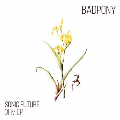 Premiere: Sonic Future - Ohm (Original Mix) [Bad Pony Records]