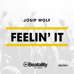 Josip Wolf - Feelin It (Orginal Mix)