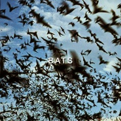 Bats