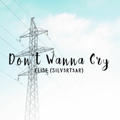 seventeen - don’t wanna cry (울고 싶지 않아) (acoustic cover) | elise (silv3rt3ar)
