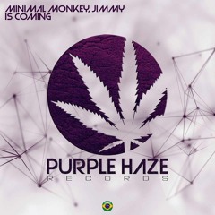 Minimal Monkey & Jimmy - Is Coming (Original Mix)