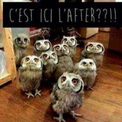 Frequenzhobel  (hardtechno)