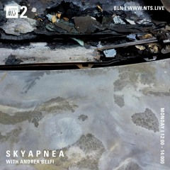 Mixtape for Skyapnea on NTS
