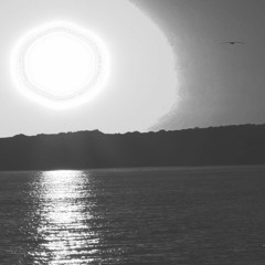 Ondas de vida