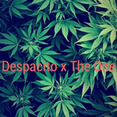 Despacito x The One [ Crose 987 x Crazyskine ]