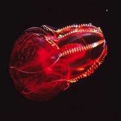 Alien Deep Sea Life - DeepMind 12