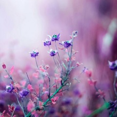 وَإِذَا مَسَّ الْإِنْسَانَ الضُّرُّ - بندر بليلة