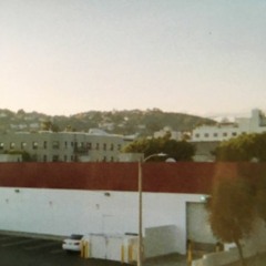 Palms
