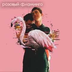 розовый фламинго