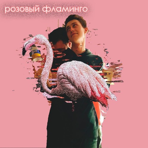 розовый фламинго