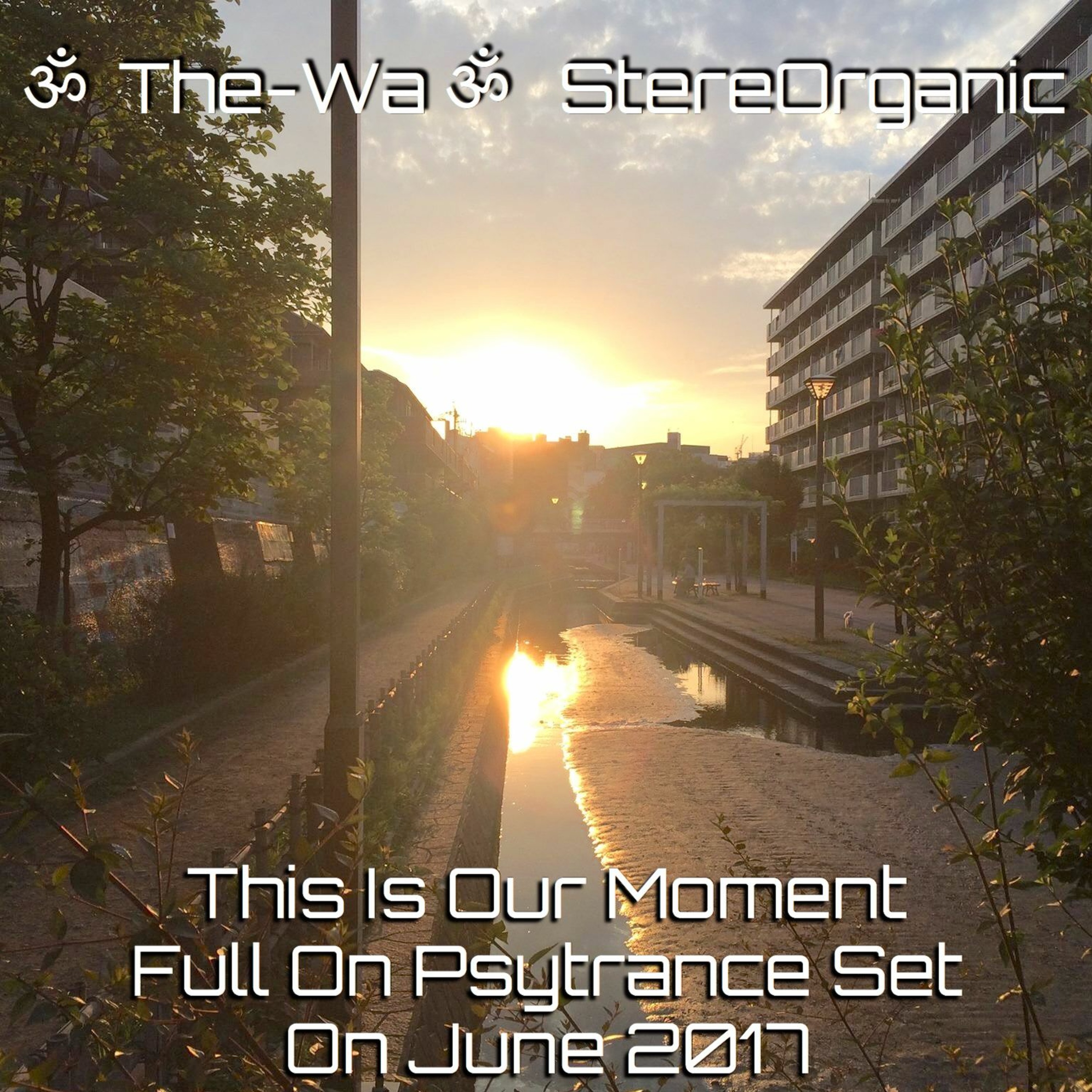 ૐ The-Wa ૐ StereOrganic - DJ Sets 2012 - 2017