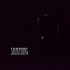 Shaming (Demo)