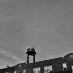 In the Field 6/10/17