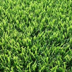 stuck - Lil' Dev & Profit