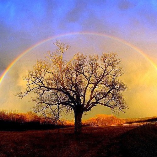 Somewhere Over the Rainbow - NayJ. & Julien - For you mummy (432Hz)