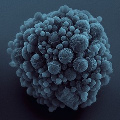 Lifeform