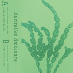 Australian Ambience Side B (2015 - 2017)