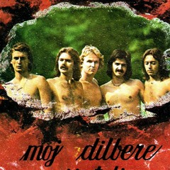 Moj Dilbere