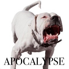 apocalypse bulldog