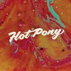 Diskohengst & Toni Clarke (Vinly Only Set) @ Hot Pony, May 2017