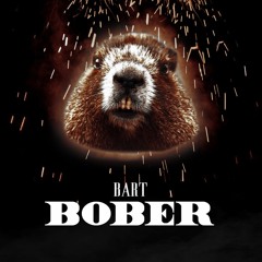 BOBER (Panda x "Ty chuju bobrze" Parodia)