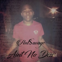 Aint No Diss