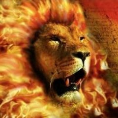 The Lion of Yahudah