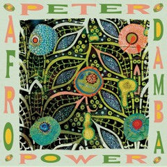 Peter Power - Mori Baka