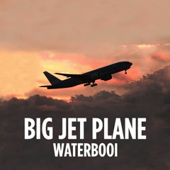 Big Jet Plane (Remix)