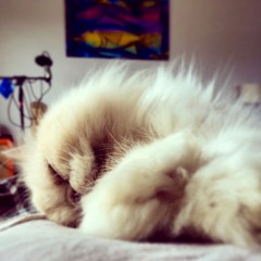 Like You Want It To Be