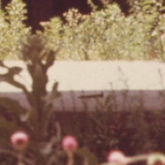 [disquiet0284] From the Ground