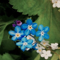 Självförverkligandets Era