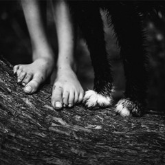 Snin Tejri Bina Final Instrumental