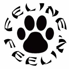 Alex Lox Meets Massive Echo - Ital