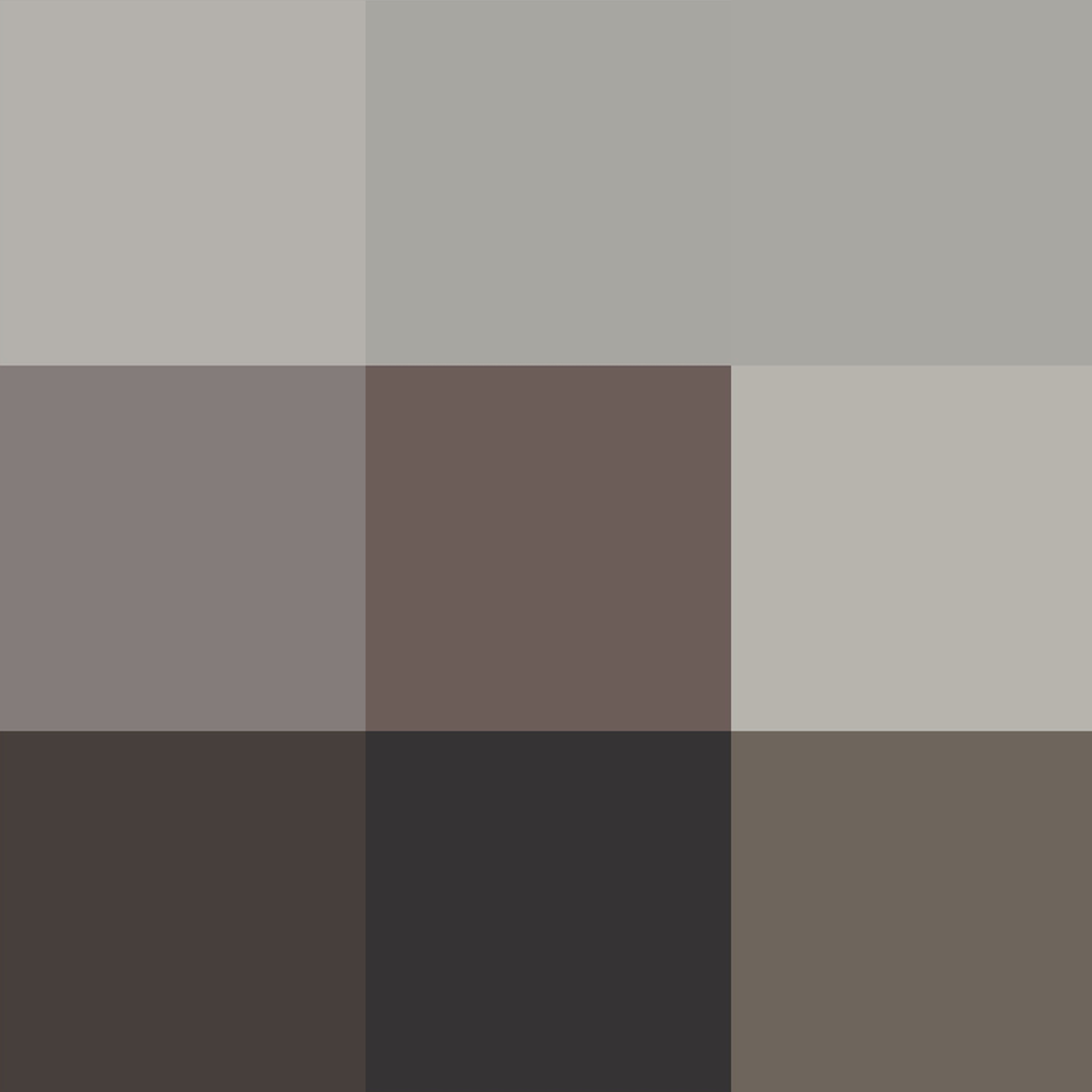 analoc