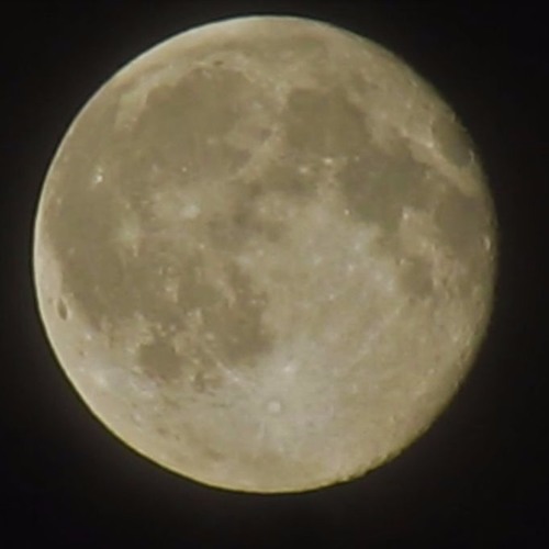 Barking At the Moon (Jam)