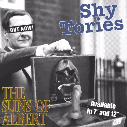 Shy Tories