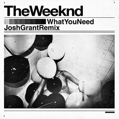 The Weeknd - What You Need (Josh Grant Remix)