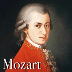 Sonate KV 448 Movement II  W.A. Mozart