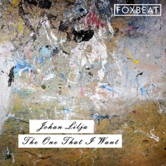 Johan Lilja - The One That I Want - Royalty Free Vlog Music [BUY=FREE]