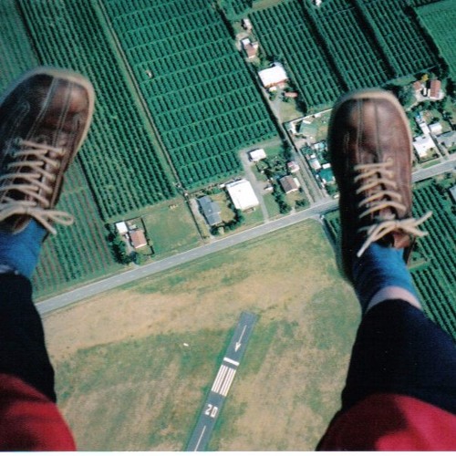 Pickin The Belles - Angus Rorison